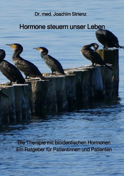 Produktbild: Hormone steuern unser Leben