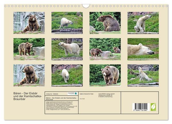 Produktbild: B&auml;ren - Der Eisb&auml;r und der Kamtschatka-Braunb&auml;r (Wandkalender 2026 DIN A3 quer), CALVENDO Monatskalender