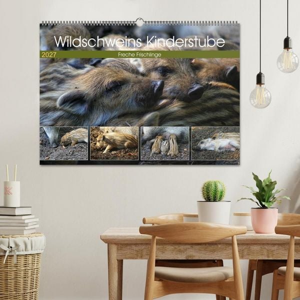 Produktbild: Wildschweins Kinderstube - Freche Frischlinge (Wandkalender 2027 DIN A2 quer), CALVENDO Monatskalender