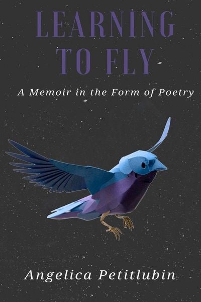 Produktbild: Learning to Fly