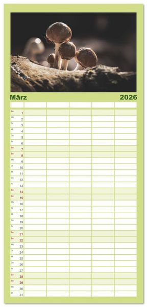 Produktbild: Familienplaner 2026 - Wundersame Pilzwelten mit 5 Spalten (Wandkalender, 21 x 45 cm) CALVENDO