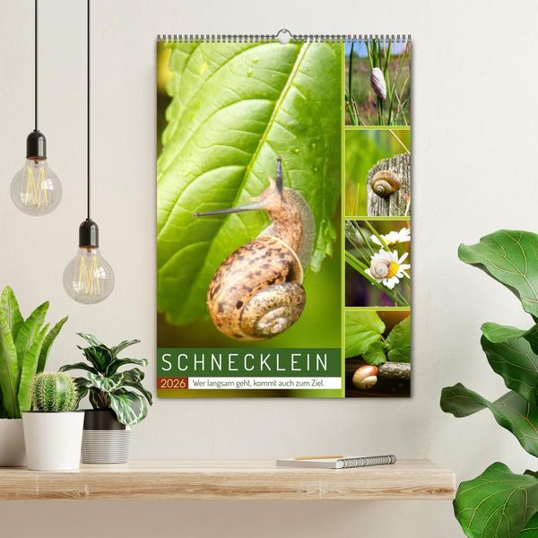 Produktbild: Schnecklein (Wandkalender 2026 DIN A2 hoch), CALVENDO Monatskalender