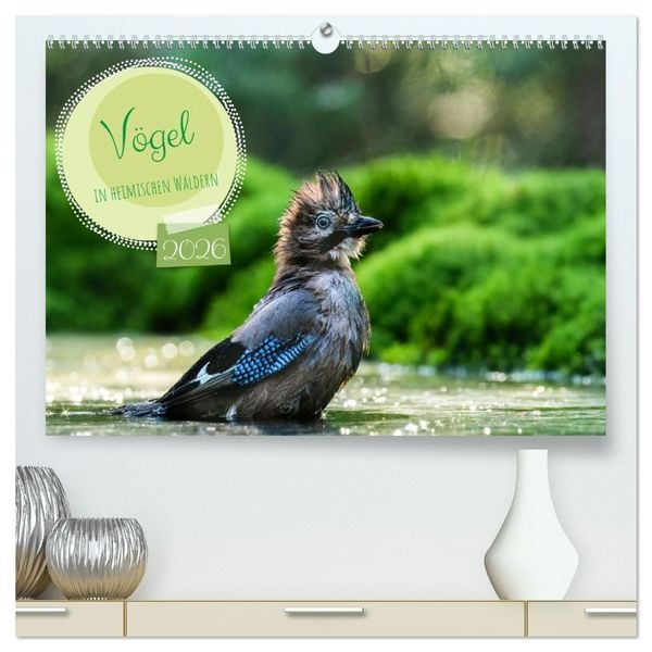 Produktbild: V&ouml;gel in heimischen W&auml;ldern (hochwertiger Premium Wandkalender 2026 DIN A2 quer), Kunstdruck in Hochglanz