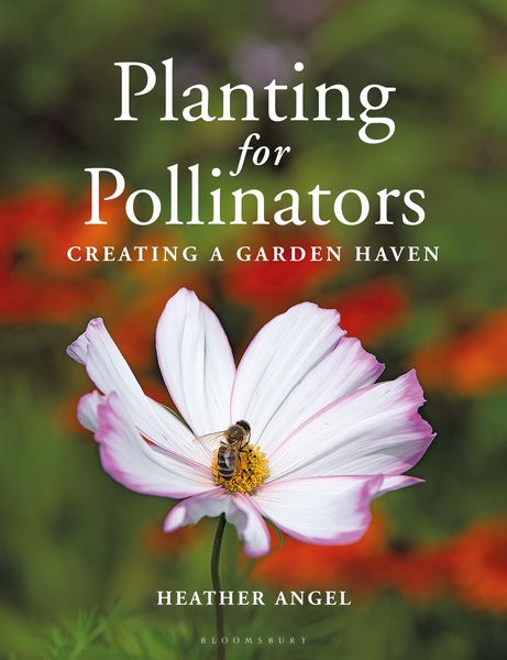 Produktbild: Planting for Pollinators