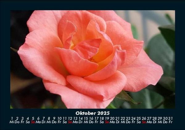 Produktbild: Blumentr&auml;ume 2025 Fotokalender DIN A5