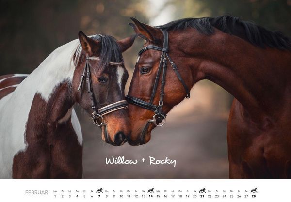 Produktbild: Pferde Kalender 2027 Wandkalender