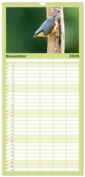 Produktbild: Familienplaner 2026 - Fantastische Vogelwelt Slowenien mit 5 Spalten (Wandkalender, 21 x 45 cm) CALVENDO