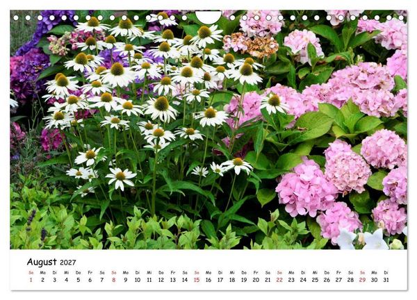 Produktbild: Mein Garten Eine Leidenschaft (Wandkalender 2027 DIN A4 quer), CALVENDO Monatskalender