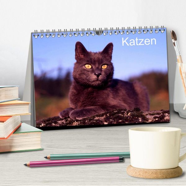 Produktbild: Katzen (Tischkalender 2026 DIN A5 quer), CALVENDO Monatskalender
