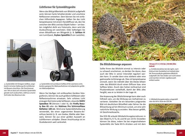 Produktbild: Canon EOS R6