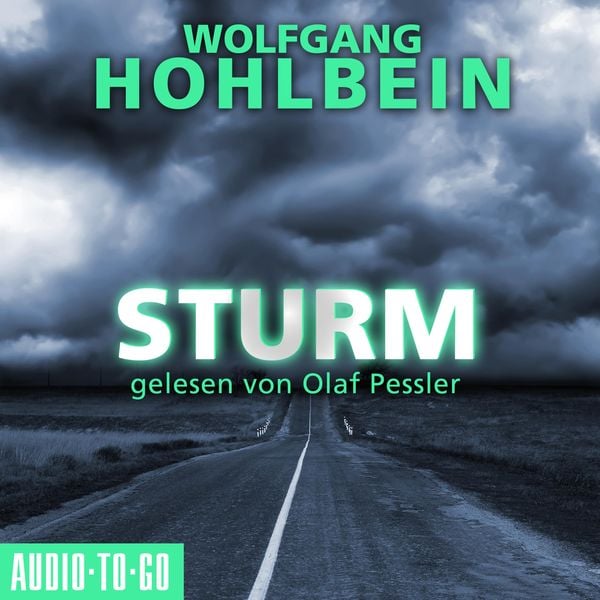 Sturm - Wolfgang Hohlbein, Audio, 9783965192737