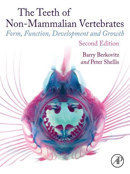 Produktbild: The Teeth of Non-mammalian Vertebrates