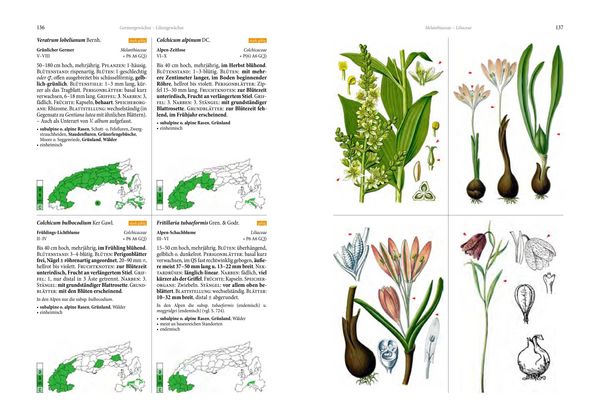 Produktbild: Alpenflora