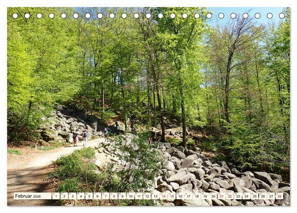 Produktbild: Viele Wege - ein Ziel Wandern im Odenwald (Tischkalender 2026 DIN A5 quer), CALVENDO Monatskalender