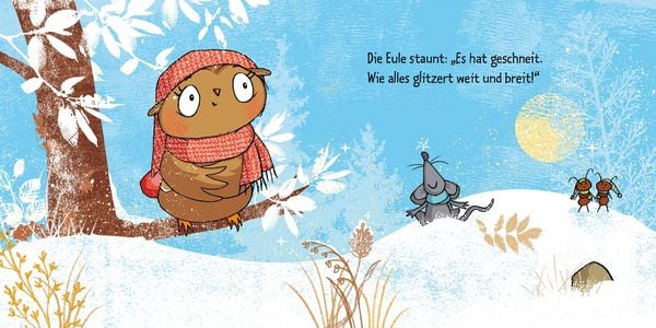 Produktbild: Die kleine Eule im Schnee