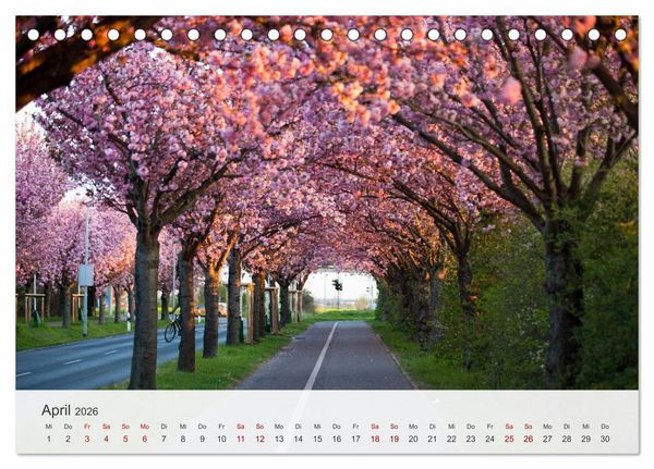 Produktbild: Magdeburg - Elbe, Dom ... und noch viel mehr! (Tischkalender 2026 DIN A5 quer), CALVENDO Monatskalender