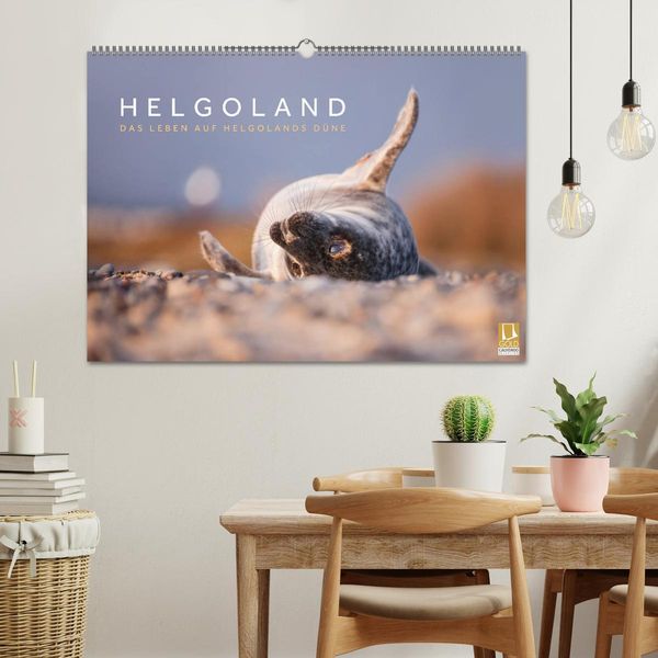 Produktbild: Helgoland - Das Leben auf der D&uuml;ne Helgolands (Wandkalender 2026 DIN A2 quer), CALVENDO Monatskalender