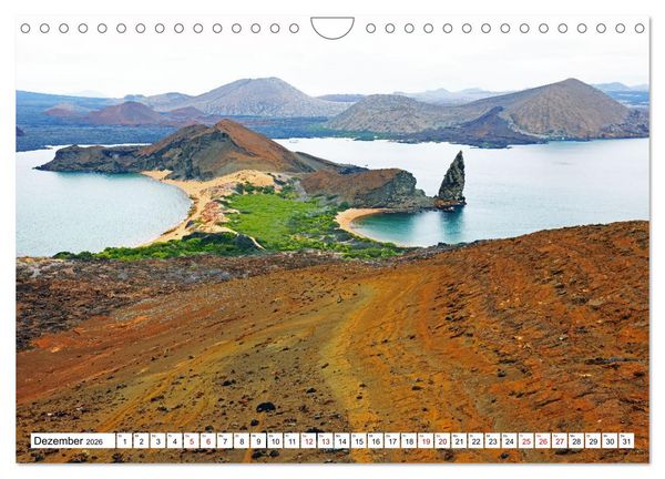 Produktbild: Gal&aacute;pagos - Die verwunschenen Inseln (Wandkalender 2026 DIN A4 quer), CALVENDO Monatskalender