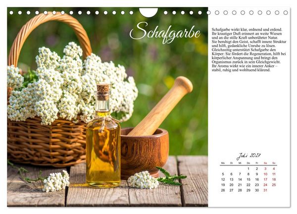Produktbild: Heilsame Aroma&ouml;le (Wandkalender 2027 DIN A4 quer), CALVENDO Monatskalender