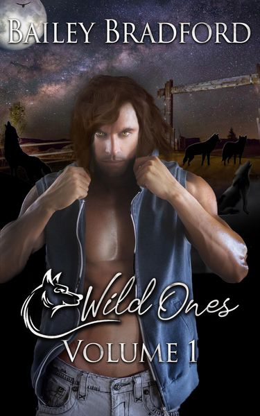 Produktbild: Wild Ones