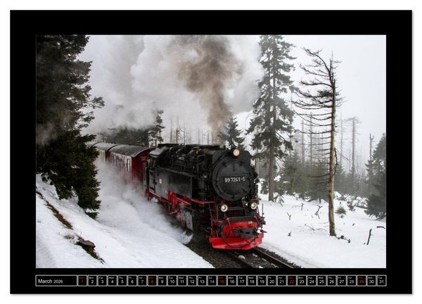 Produktbild: Steam Experience (Wall Calendar 2026 DIN A4 landscape), CALVENDO 12 Month Wall Calendar