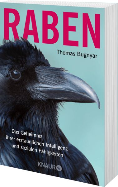 Produktbild: Raben