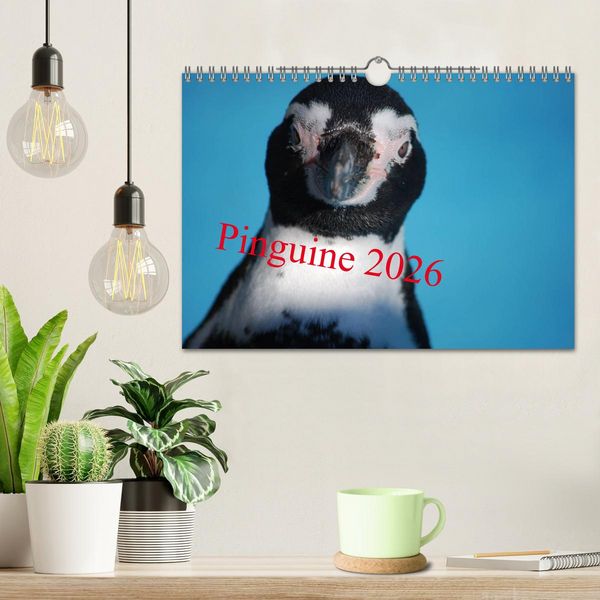 Produktbild: Pinguine 2026 (Wandkalender 2026 DIN A4 quer), CALVENDO Monatskalender