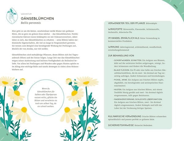 Produktbild: Mein Jahr mit der Natur