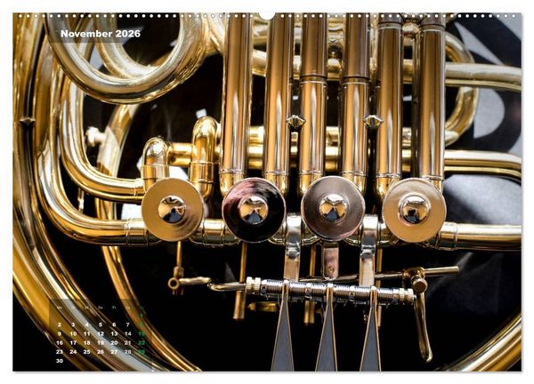 Produktbild: Das Horn, ein herrliches Instrument (hochwertiger Premium Wandkalender 2026 DIN A2 quer), Kunstdruck in Hochglanz