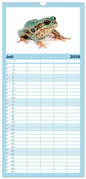 Produktbild: Familienplaner 2026 - Farbenpracht der Fr&ouml;sche mit 5 Spalten (Wandkalender, 21 x 45 cm) CALVENDO