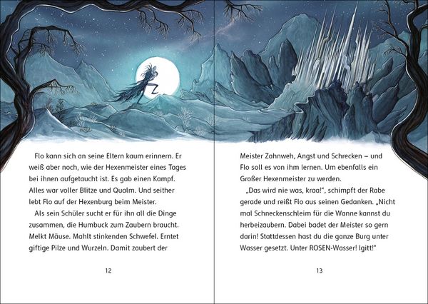 Produktbild: Der Zaubersch&uuml;ler (Band 1) - Fluch des Hexenmeisters