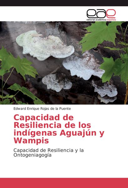 Produktbild: Capacidad de Resiliencia de los ind&iacute;genas Aguaj&uacute;n y Wampis