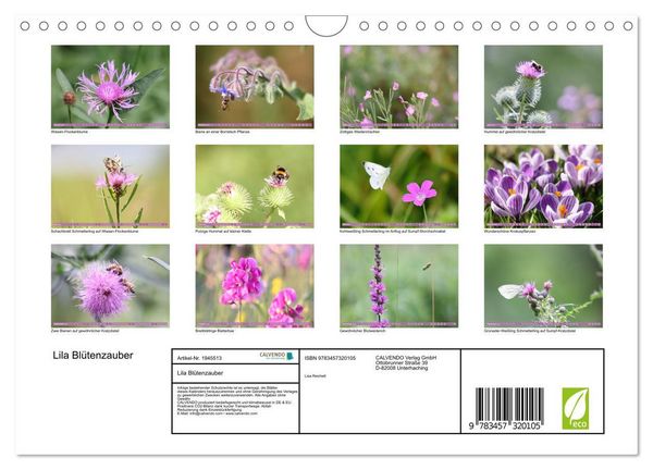 Produktbild: Lila Bl&uuml;tenzauber (Wandkalender 2026 DIN A4 quer), CALVENDO Monatskalender