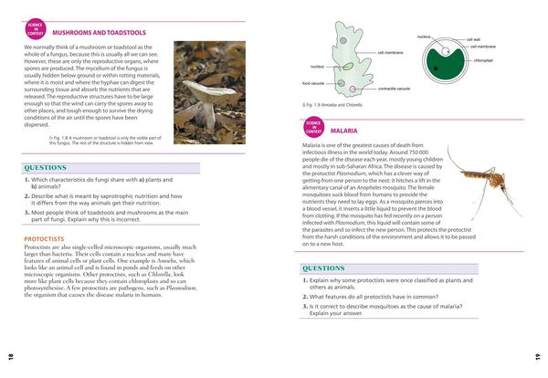 Produktbild: Edexcel International GCSE (9-1) Biology Student Book