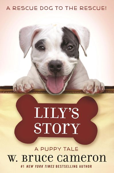 Produktbild: Lily's Story