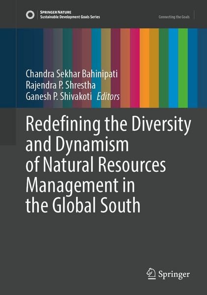 Produktbild: Redefining the Diversity and Dynamism of Natural Resources Management in the Global South