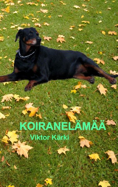 Produktbild: Koiranel&auml;m&auml;&auml;