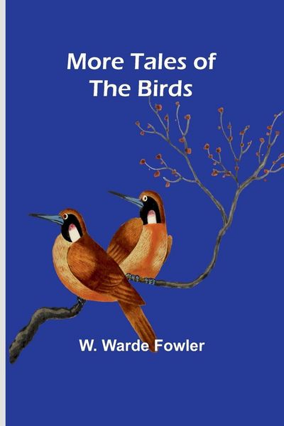 Produktbild: More Tales of the Birds