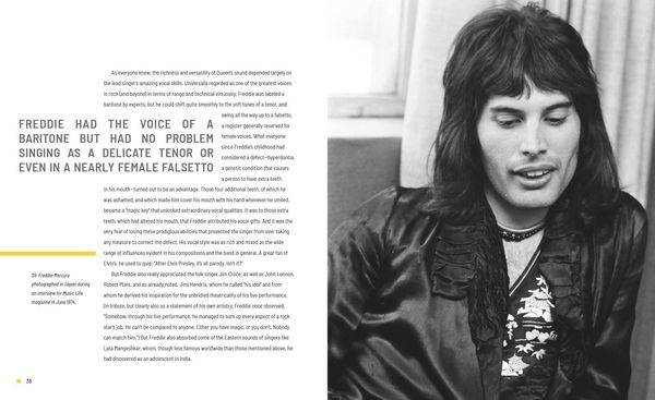 Produktbild: Freddie Mercury