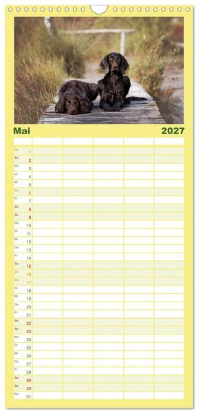 Produktbild: Familienplaner 2027 - Passion Jagdhund - Deutsch Langhaar mit 5 Spalten (Wandkalender, 21 x 45 cm) CALVENDO
