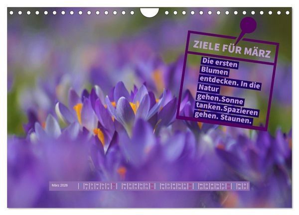 Produktbild: ZIELE Monat f&uuml;r Monat (Wandkalender 2026 DIN A4 quer), CALVENDO Monatskalender