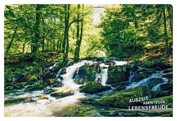 Produktbild: 52 kleine & gro&szlig;e Eskapaden rund um Harz
