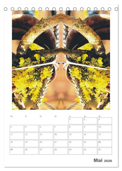 Produktbild: Axis Mater Naturae (Tischkalender 2026 DIN A5 hoch), CALVENDO Monatskalender