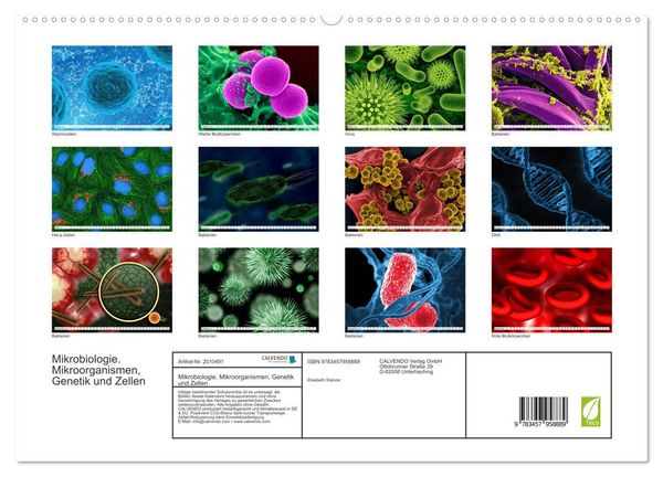Produktbild: Mikrobiologie. Mikroorganismen, Genetik und Zellen (hochwertiger Premium Wandkalender 2026 DIN A2 quer), Kunstdruck in Hochglanz