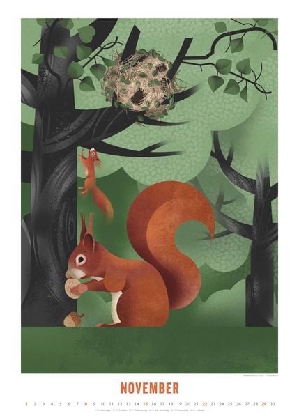 Produktbild: Dieter Braun: Die Welt der Tiere 2026 – Wandkalender – Format 50x70 cm