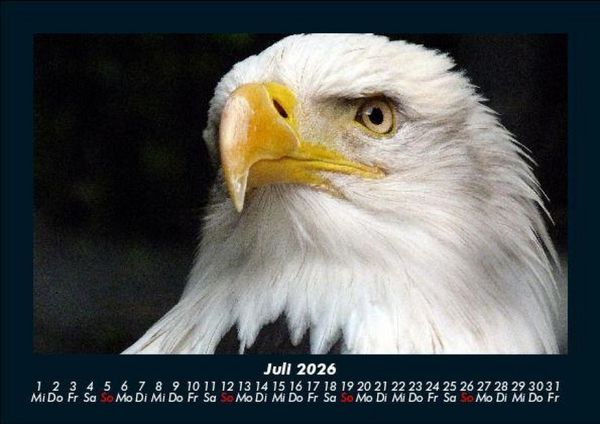 Produktbild: Adler 2026 Fotokalender DIN A5