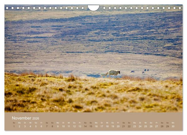 Produktbild: Unter Schafen - Wegbegleiter auf Reisen (Wandkalender 2026 DIN A4 quer), CALVENDO Monatskalender