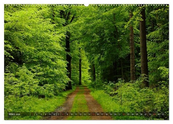 Produktbild: Feng Shui Farben - Element: Holz (Wandkalender 2026 DIN A2 quer), CALVENDO Monatskalender