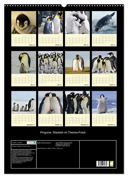 Produktbild: Pinguine. Wackeln im Thermo-Frack (Wandkalender 2026 DIN A2 hoch), CALVENDO Monatskalender