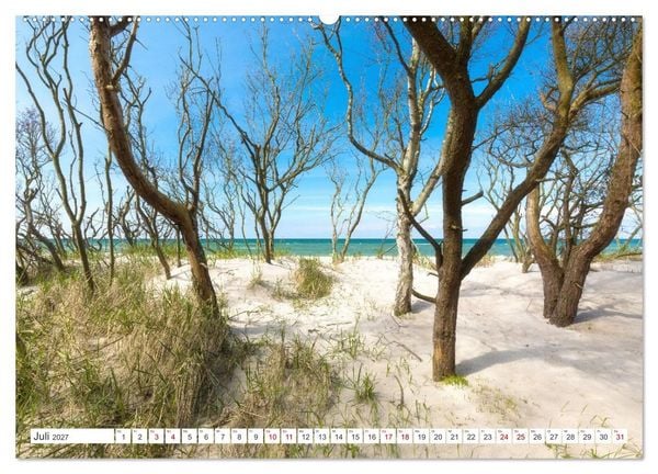 Produktbild: Fischland Dar&szlig;, Land zwischen Ostsee und Bodden (hochwertiger Premium Wandkalender 2027 DIN A2 quer), Kunstdruck in Hochglanz